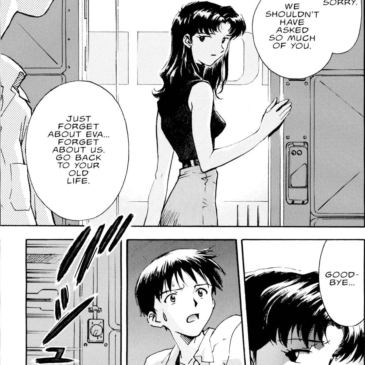 Neon Genesis Evangelion, tomo 2